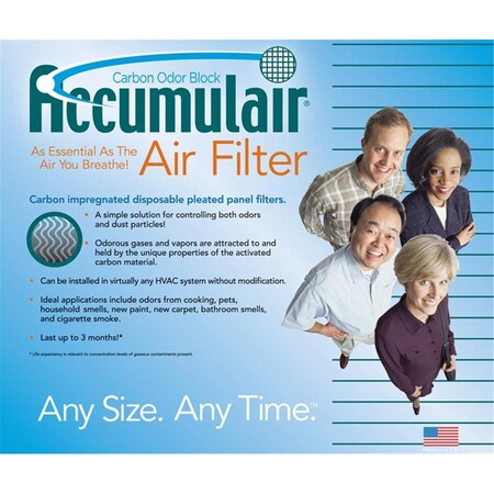 Filters-Now Filters-NOW FO20X20X2=RTL 20x20x2 Totaline Carbon Air Cleaner Filters Pack of 2 FO20X20X2=RTL